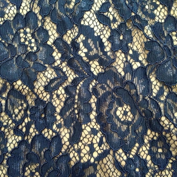 Blue Lace Sheath Dress - Picture 2 of 4